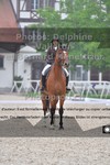 ref. photo 3225636