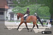 ref. photo 3225642