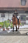 ref. photo 3225655