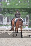 ref. photo 3225664