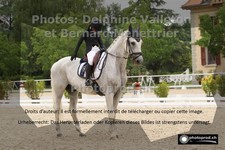 ref. photo 3225669