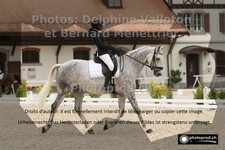 ref. photo 3225680