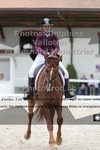 ref. photo 3225707