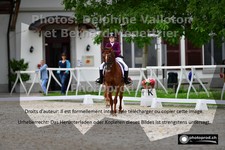 ref. photo 3225729