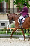 ref. photo 3225736