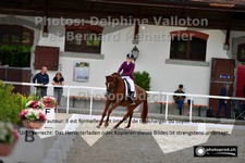 ref. photo 3225749