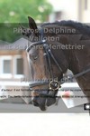 ref. photo 3225760