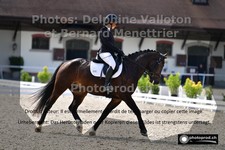 ref. photo 3225785