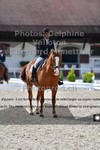 ref. photo 3225802