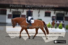 ref. photo 3225821