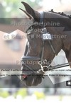 ref. photo 3225839