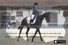 ref. photo 3225840