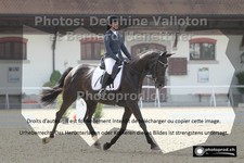ref. photo 3225847