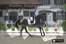 ref. photo 3225851