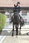 ref. photo 3225853