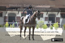 ref. photo 3225854