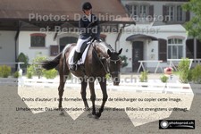 ref. photo 3225856