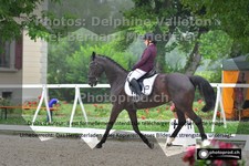 ref. photo 3225863