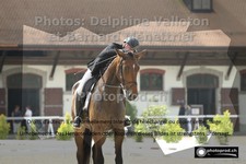 ref. photo 3225906