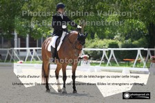 ref. photo 3225923