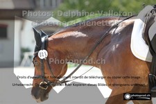 ref. photo 3225929