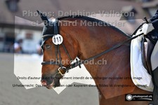 ref. photo 3225952