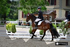 ref. photo 3225968