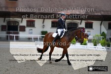 ref. photo 3225977