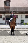 ref. photo 3226000