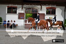 ref. photo 3226026
