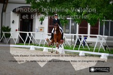 ref. photo 3226038