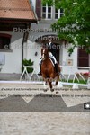 ref. photo 3226065