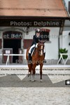 ref. photo 3226071