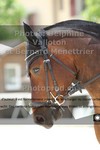 ref. photo 3226078
