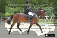 ref. photo 3226101