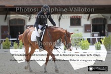 ref. photo 3226139