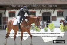 ref. photo 3226140