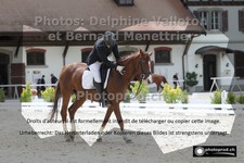 ref. photo 3226141