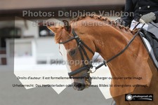 ref. photo 3226152