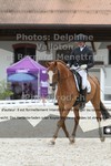 ref. photo 3226153