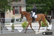 ref. photo 3226164