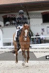 ref. photo 3226167