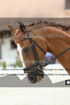 ref. photo 3226169