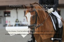 ref. photo 3226170