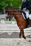 ref. photo 3226192