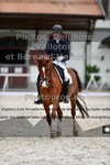ref. photo 3226197