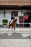 ref. photo 3226206