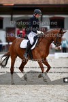ref. photo 3226227