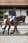ref. photo 3226246