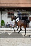 ref. photo 3226276